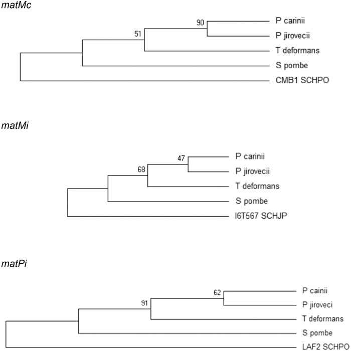 FIG 2 