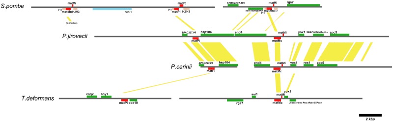 FIG 3 