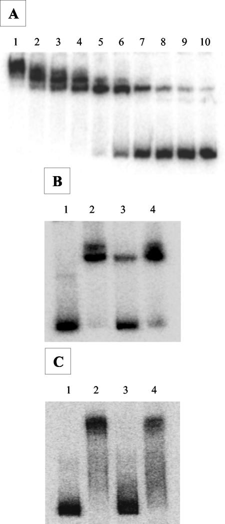 FIG. 5.