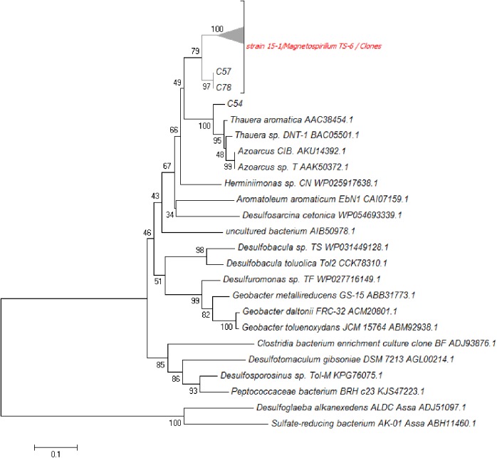 Fig 4