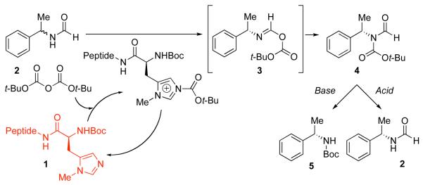 Scheme 1