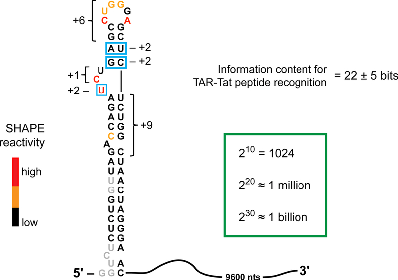 graphic file with name nihms-1014611-f0009.jpg