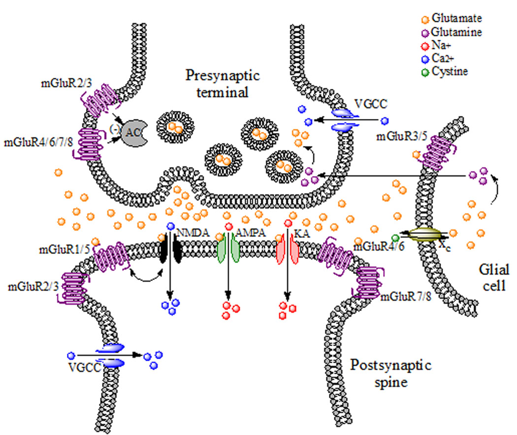 Fig. 1