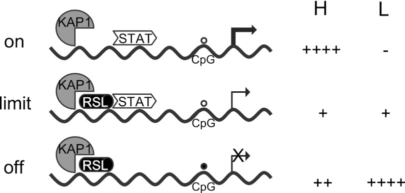 Fig 9