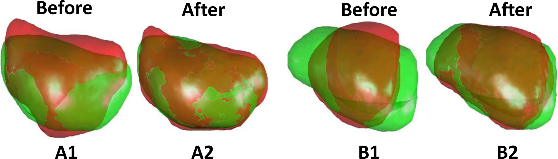 Fig. 15.