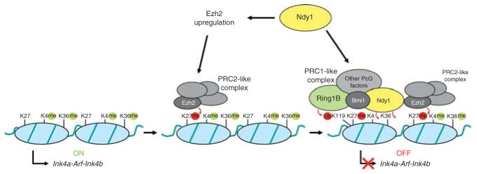 Fig. 10