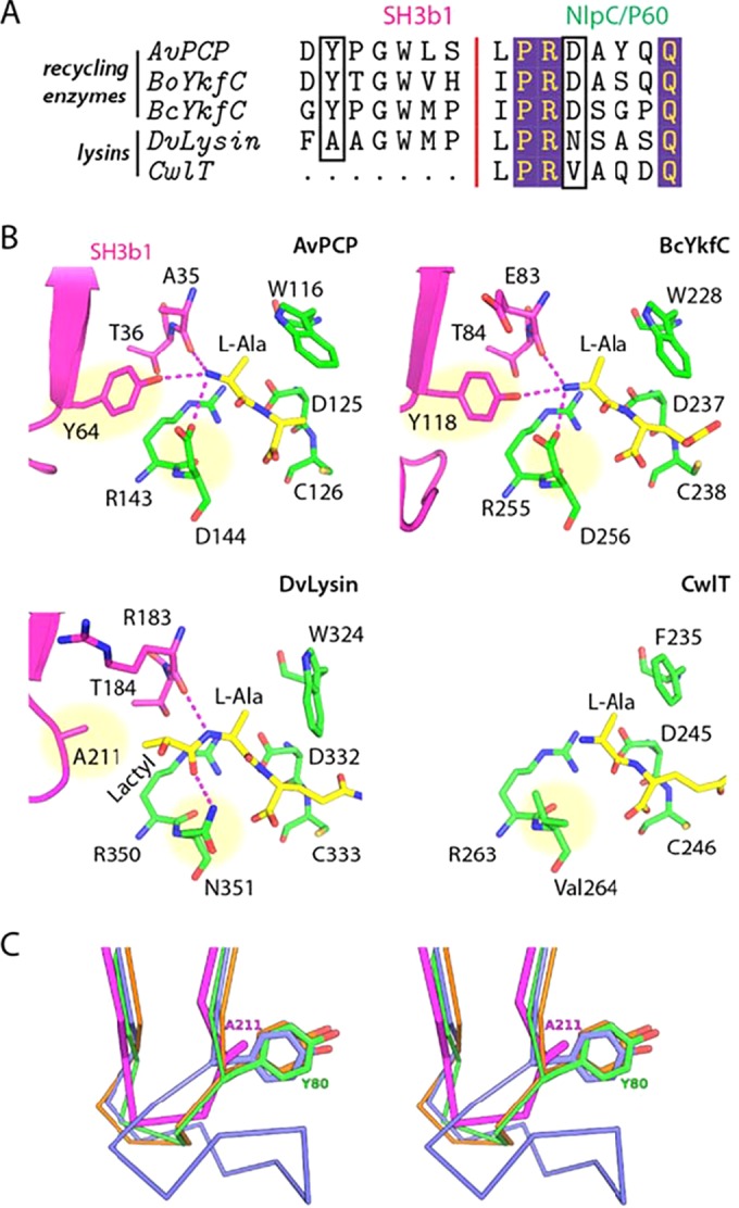 FIG 4 