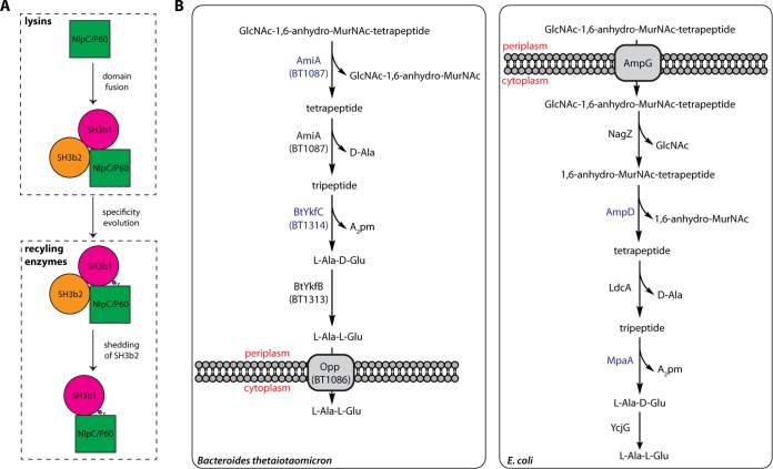 FIG 6 