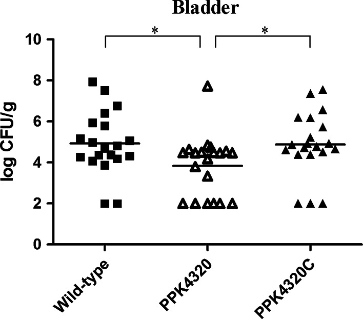 Fig. 4