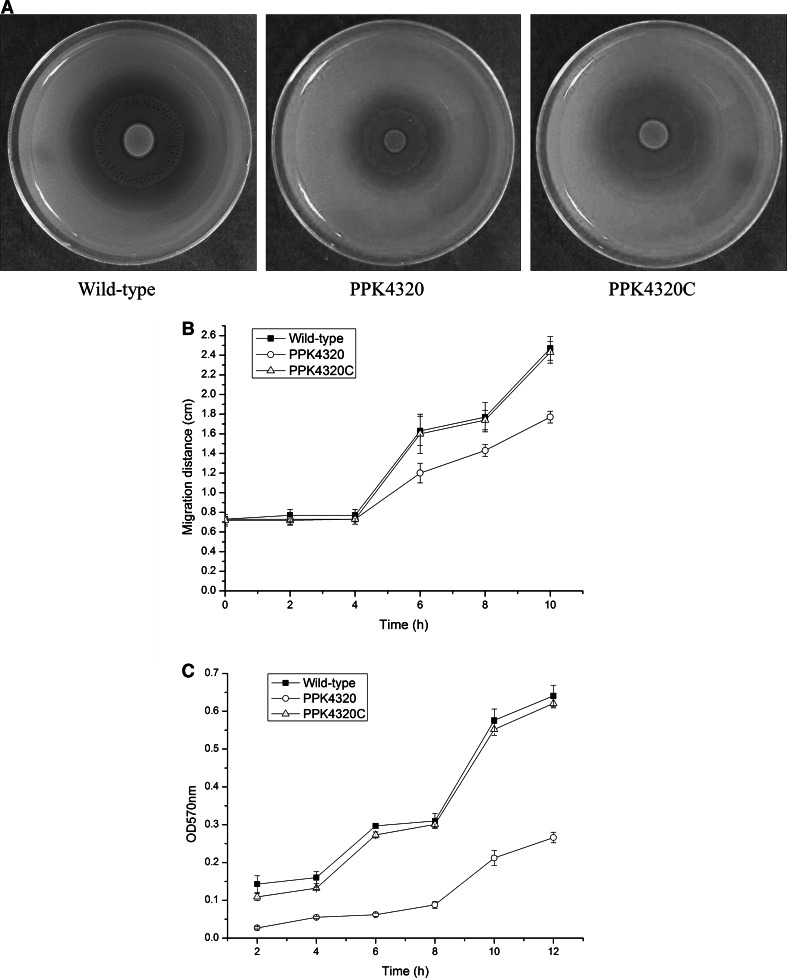 Fig. 6