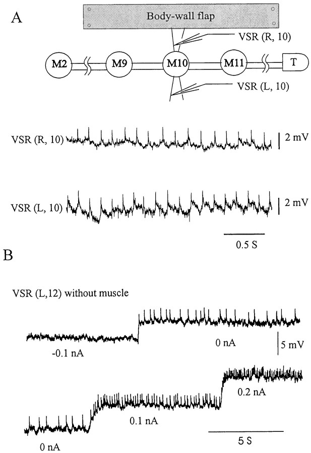 Fig. 1.