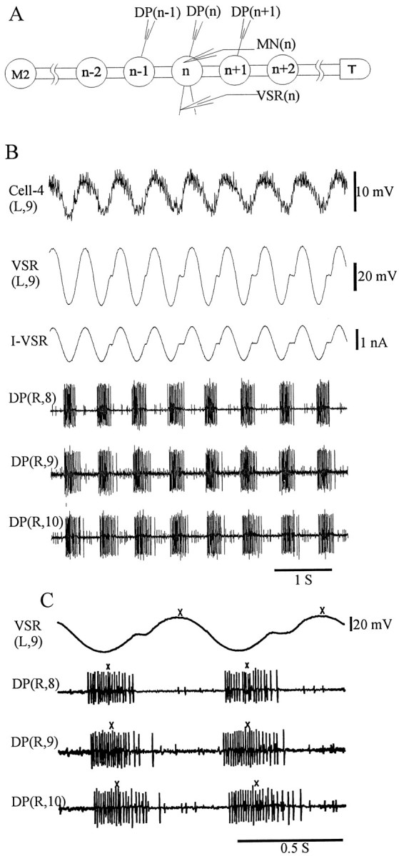 Fig. 3.