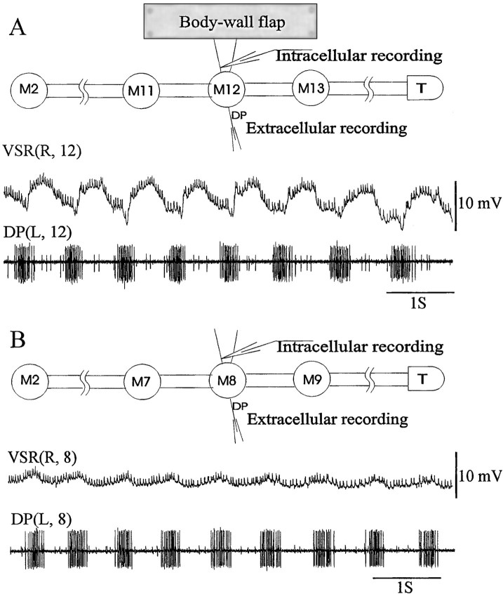 Fig. 2.