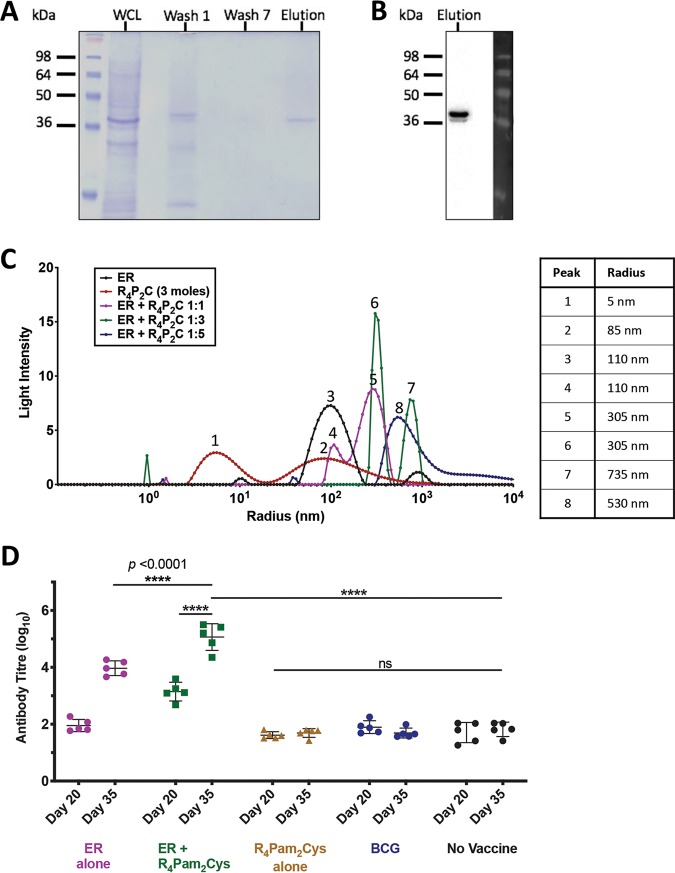 FIG 1