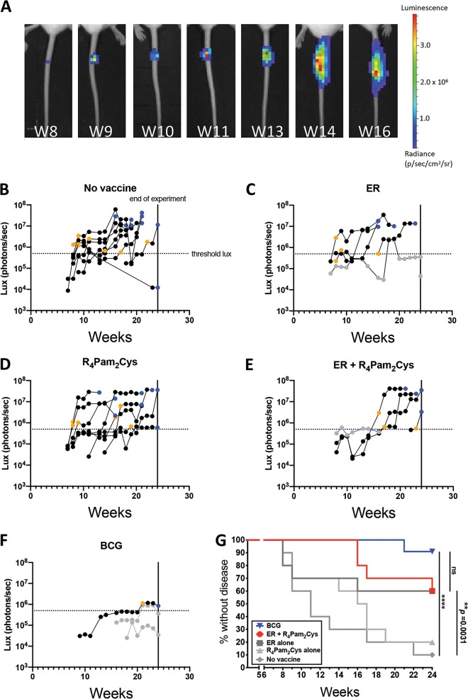 FIG 3