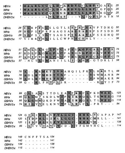 FIG. 8