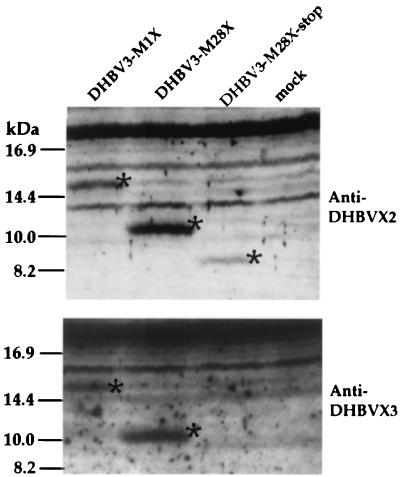 FIG. 5