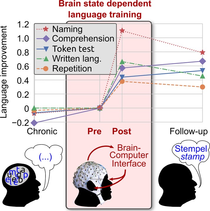 Graphical Abstract