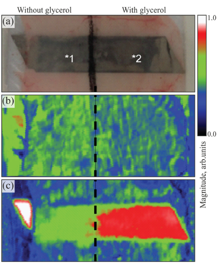 Fig. 20.