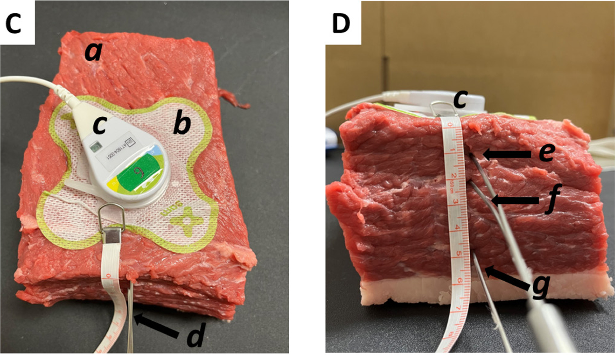 Figure 1C and 1D: