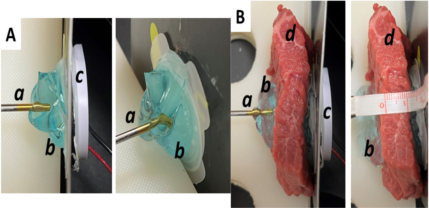 Figure 1A and 1B: