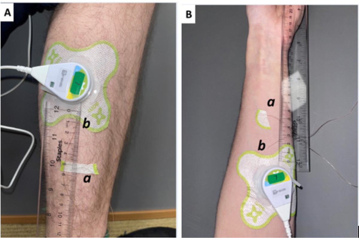 Figure 3: