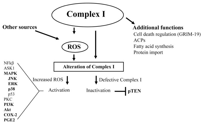 Fig. (2)