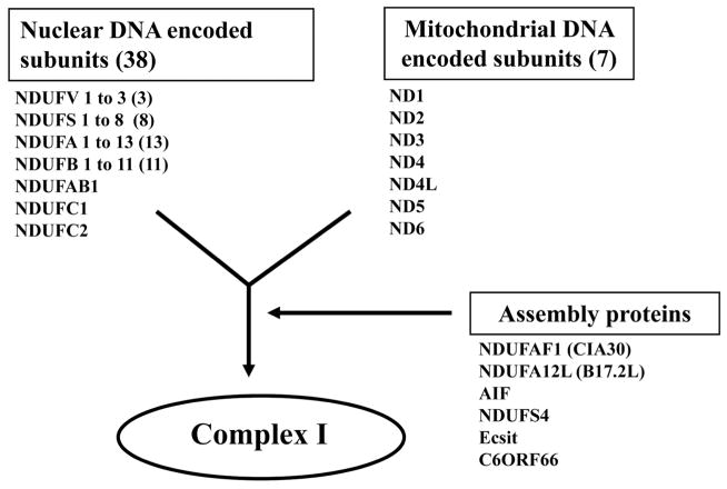 Fig. (1)