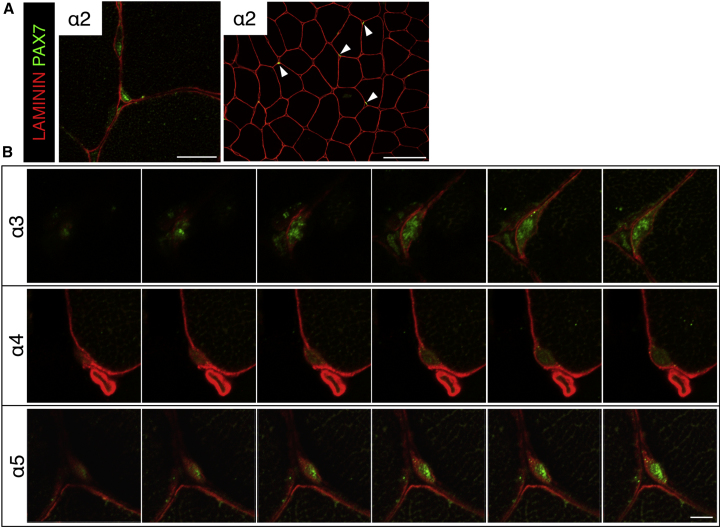 Figure 6