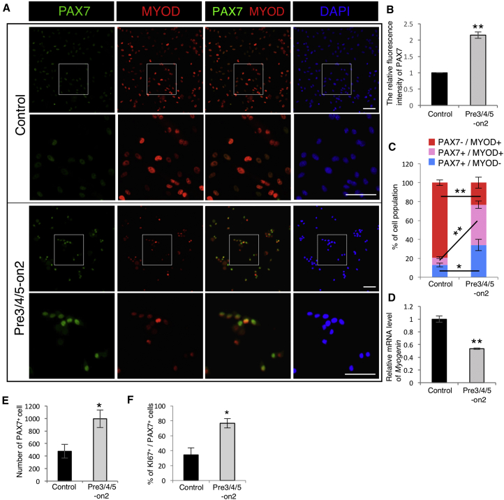 Figure 3