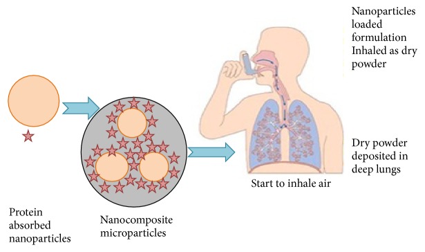 Figure 9