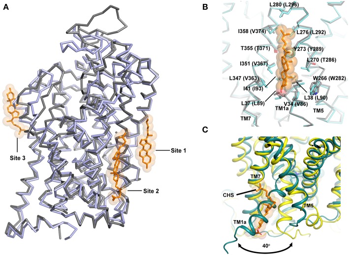 Figure 9