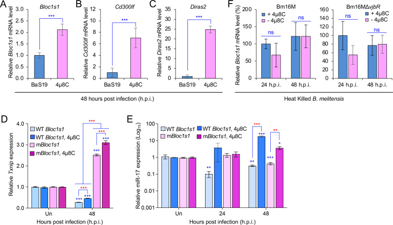 Figure 3—figure supplement 3.