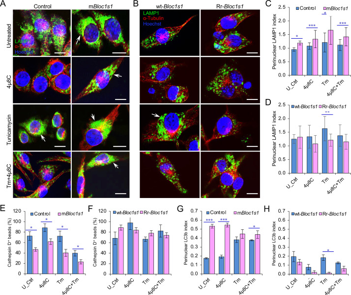 Figure 4—figure supplement 2.