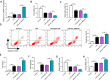 Supplement Figure 1