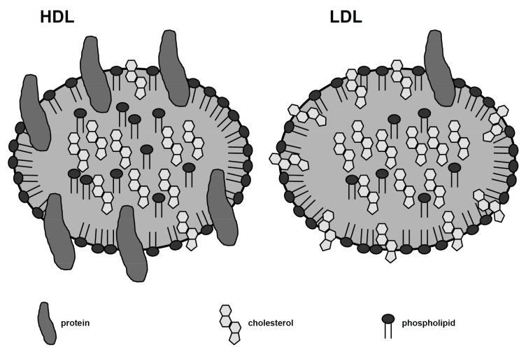 Fig. (2)