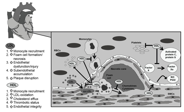 Fig. (1)