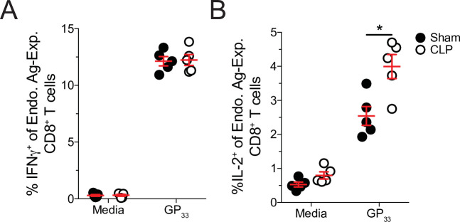 Figure 7—figure supplement 2.