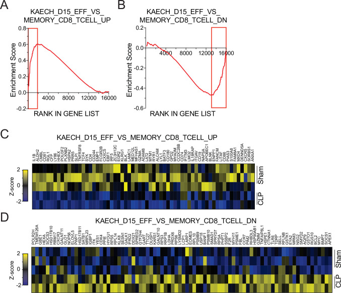 Figure 6—figure supplement 1.