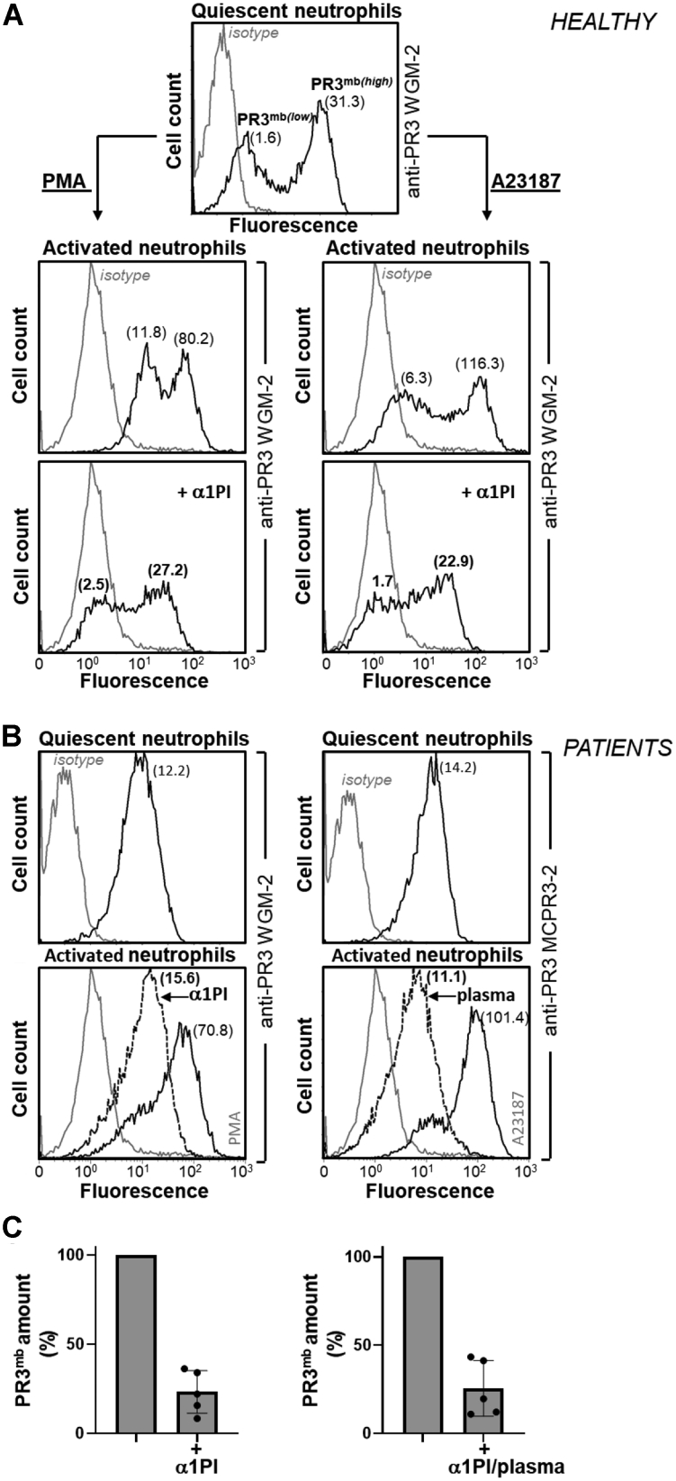 Figure 2