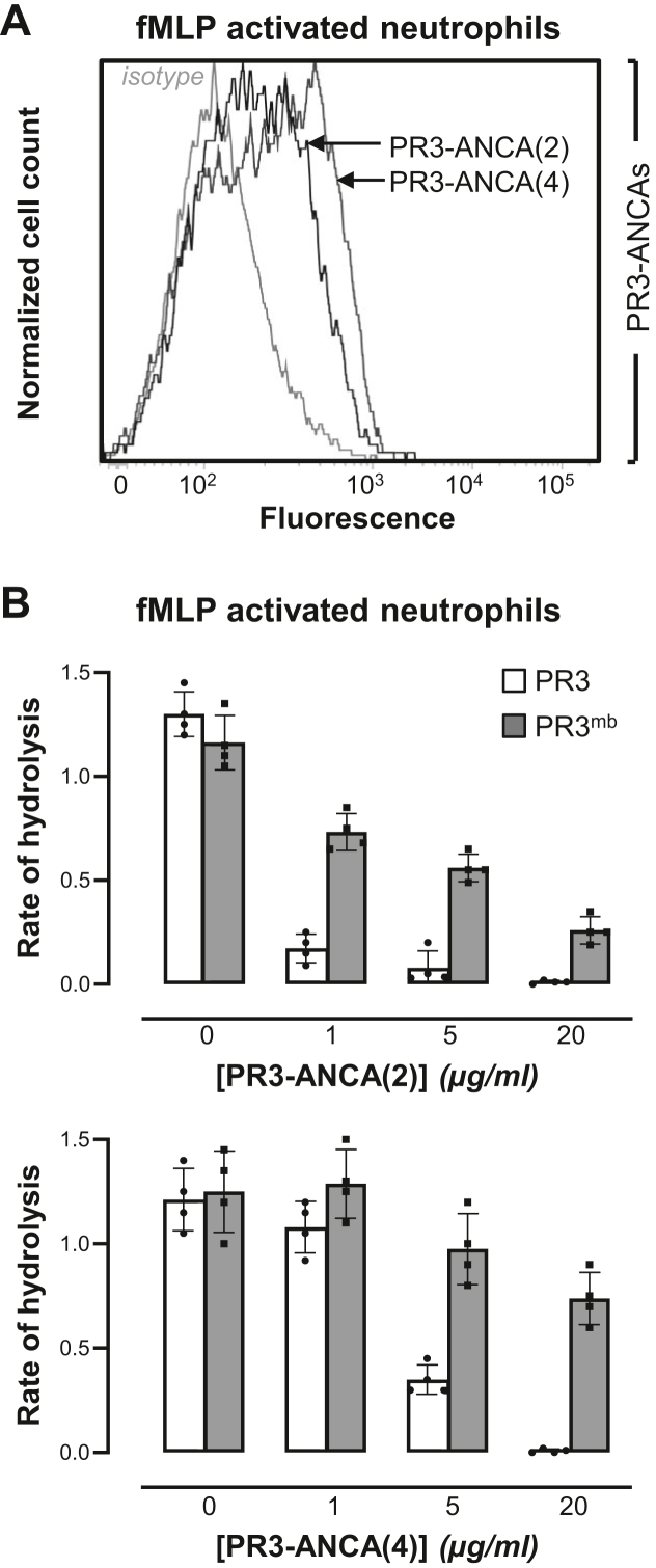 Figure 4