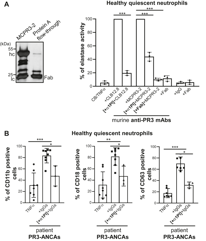 Figure 6