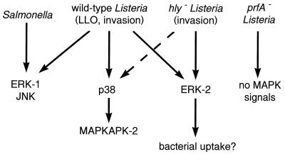 FIG. 9