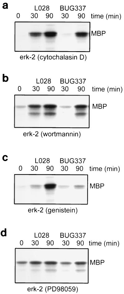 FIG. 7