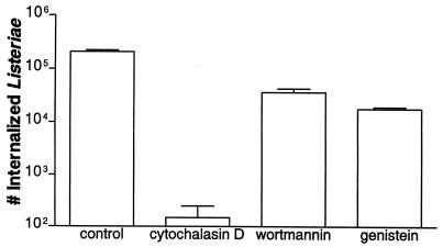 FIG. 6