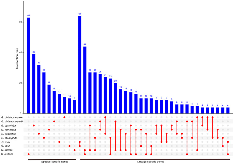 Figure 6