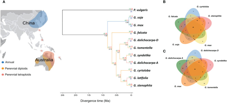 Figure 4