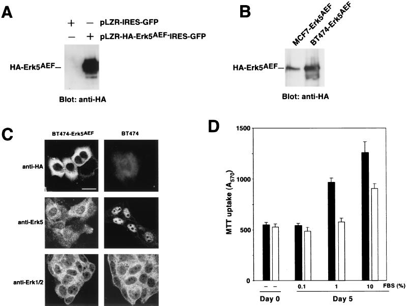 FIG. 8.