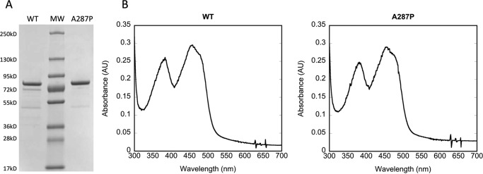 FIGURE 1.