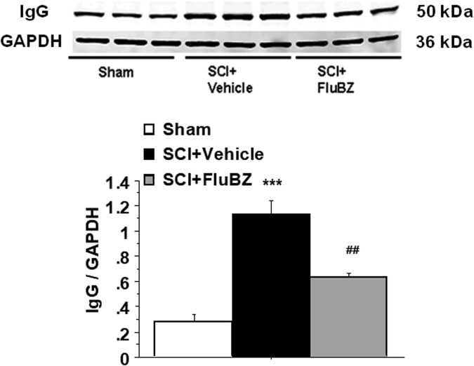 FIG. 10.